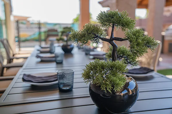 A bonsai in a black bowl at the head of a long table set for dinner under the covered patio.