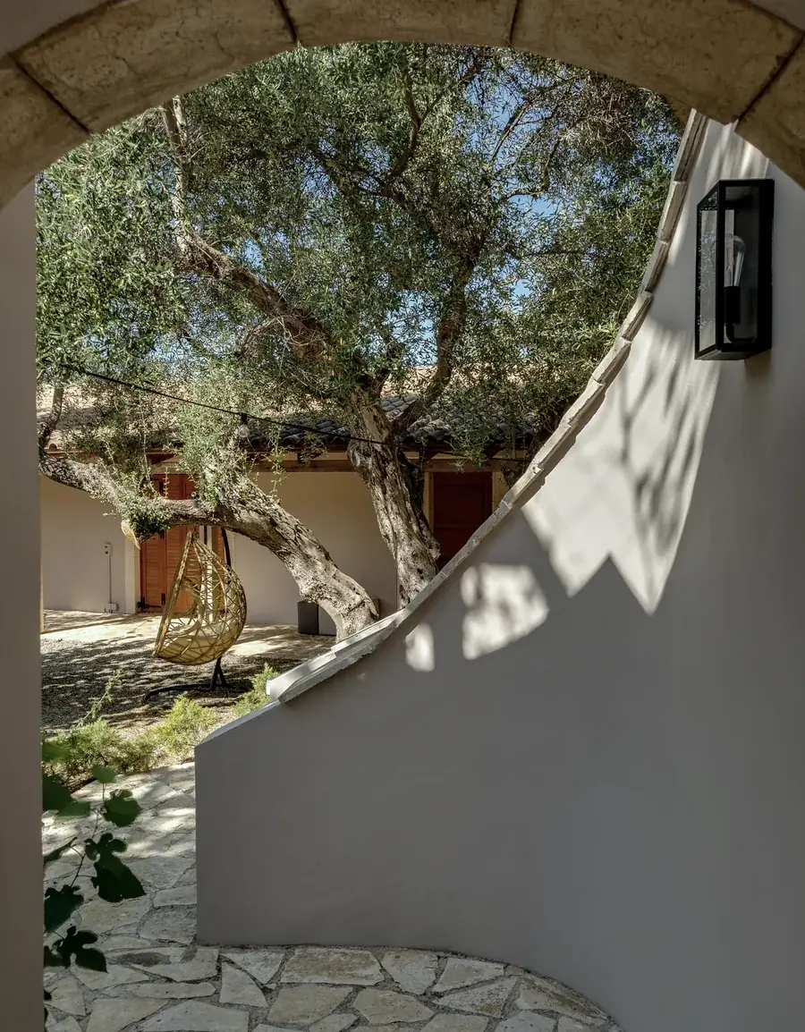 An arched opening in a plastered wall at Armonia Retreat Center, an old olive tree beyond it.
