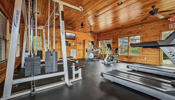 The gym from the far end, treadmills and a cross trainer along the window wall.