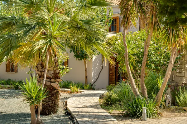 Palms and planting along a gravel path through the grounds at Armonia.
