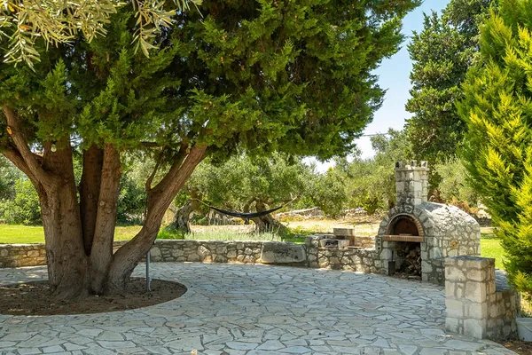 Olive trees and a stone oven on the lawn in the grounds at Armonia.