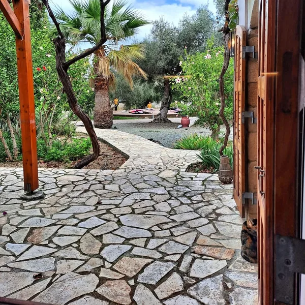 A crazy-paved stone path running between palms and olive trees on the property.