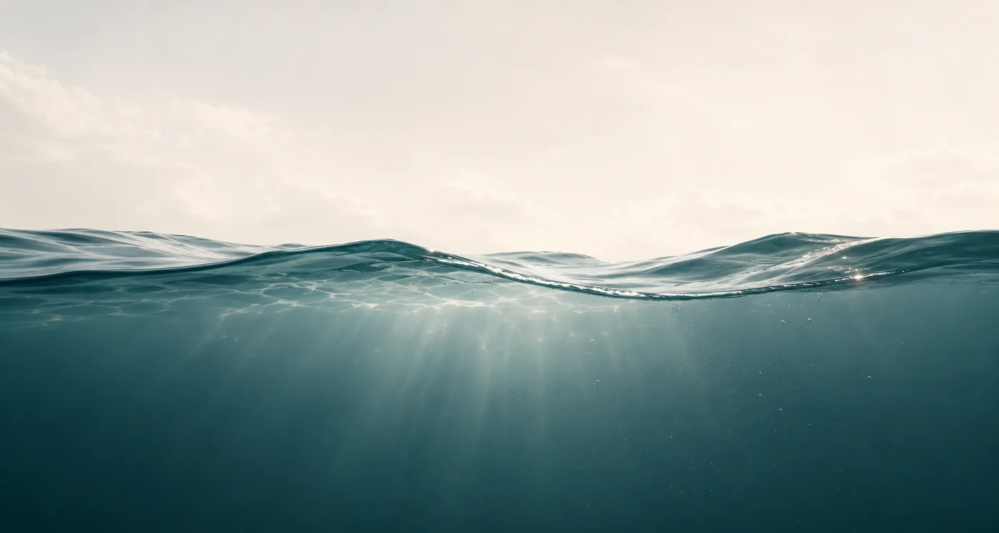 A level waterline across the frame, pale sky above it and sunlit deep water below.