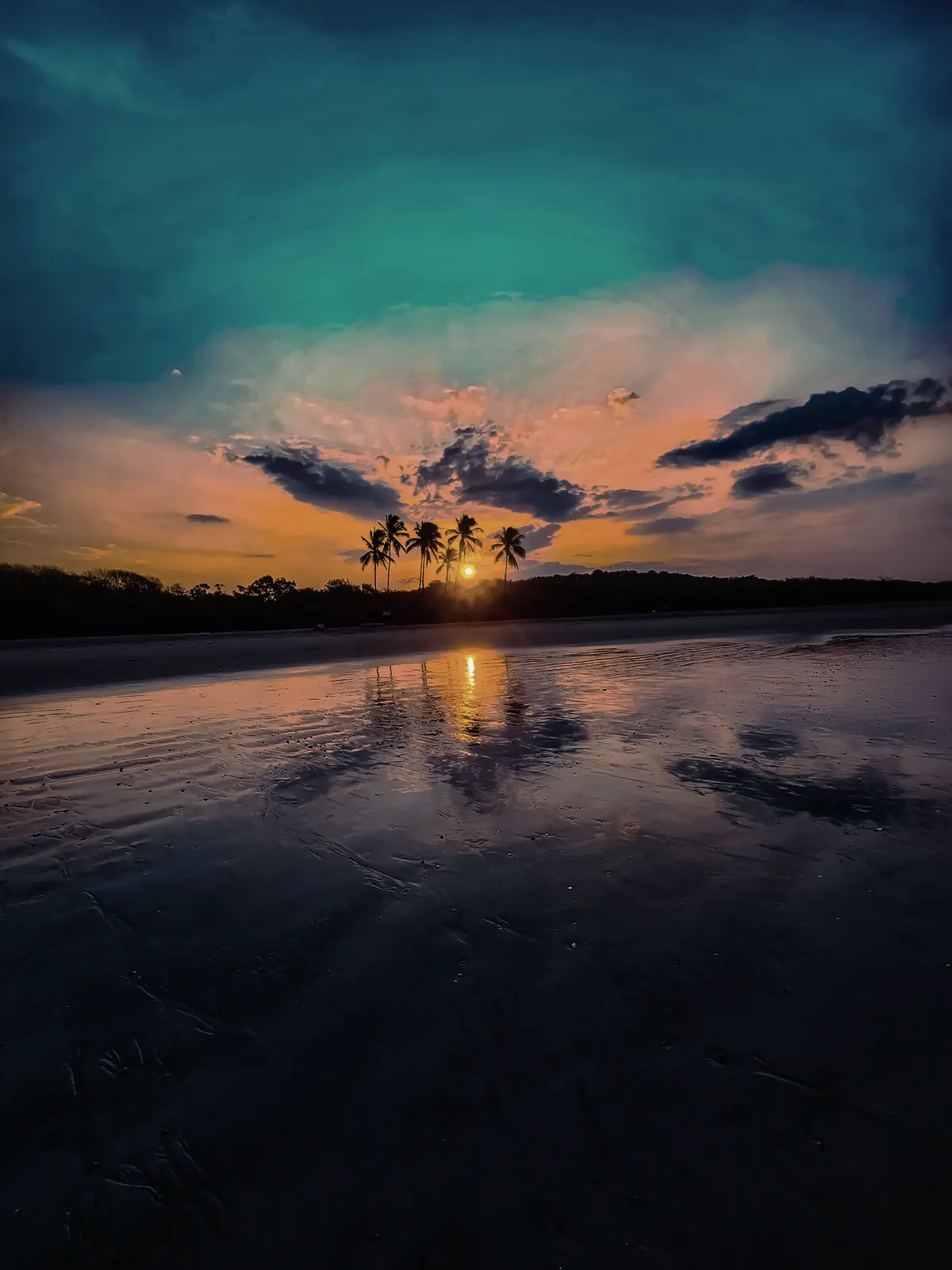 Sunset over the tide flats, palms in silhouette on the horizon and the whole sky repeated in the wet sand.